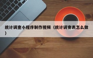 聊城统计调查小程序制作视频（统计调查表怎么做）