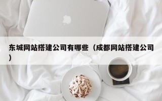 聊城东城网站搭建公司有哪些（成都网站搭建公司）